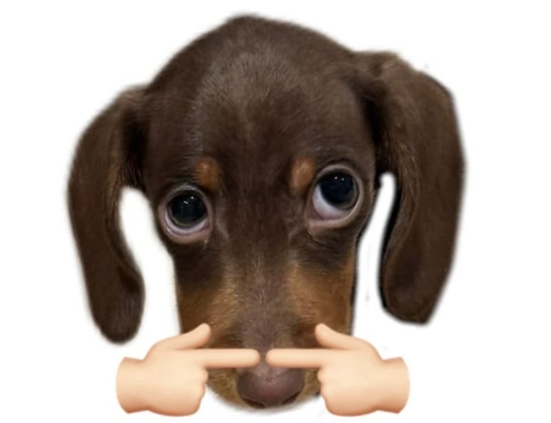 meme hài hước 32