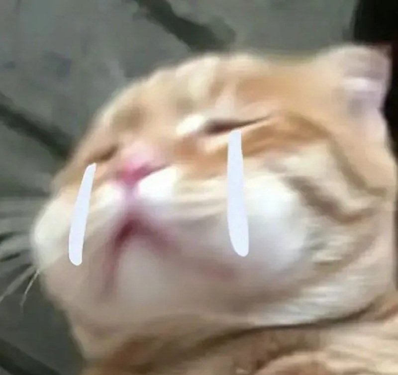 meme hài hước 37