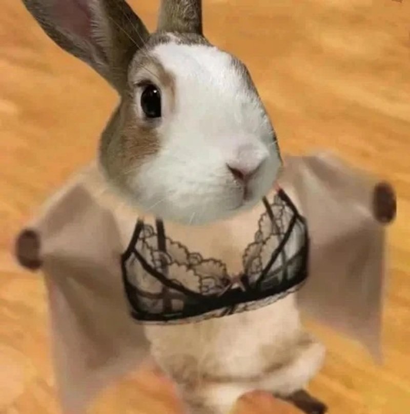 meme hài hước mới nhất