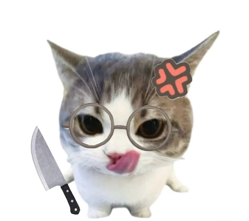 meme mèo bựa cầm dao