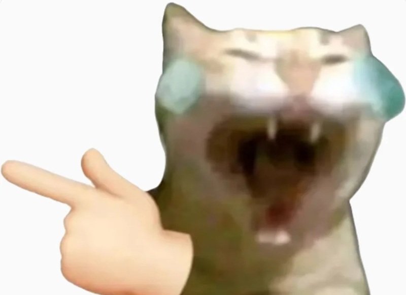 meme mèo cười 33