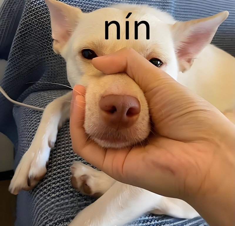 meme nín 6
