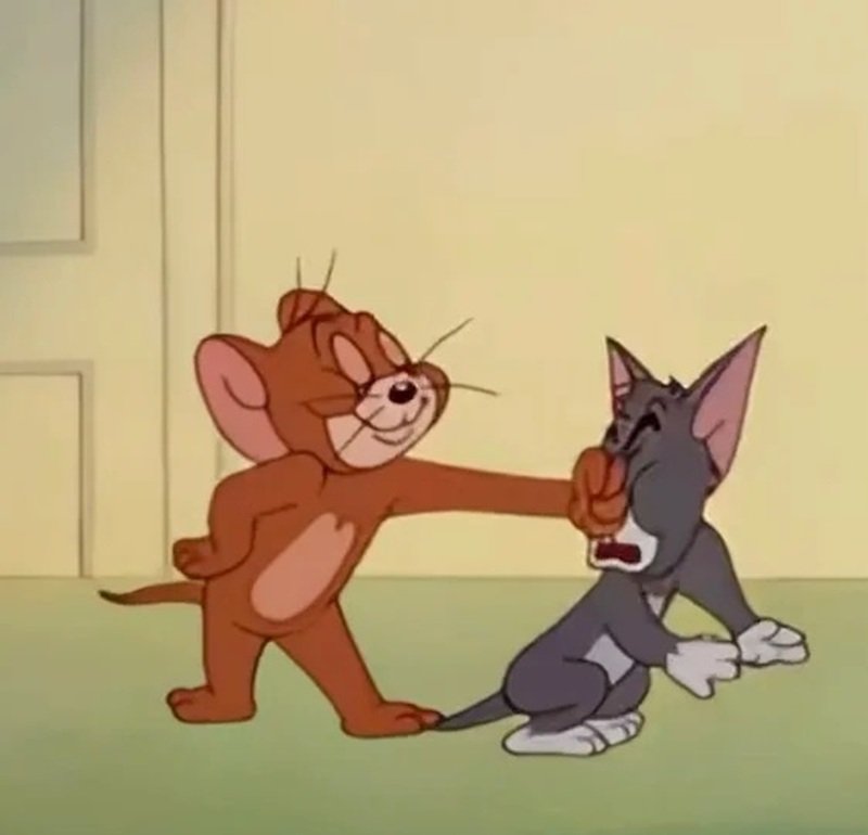 tom and jerry meme việt nam