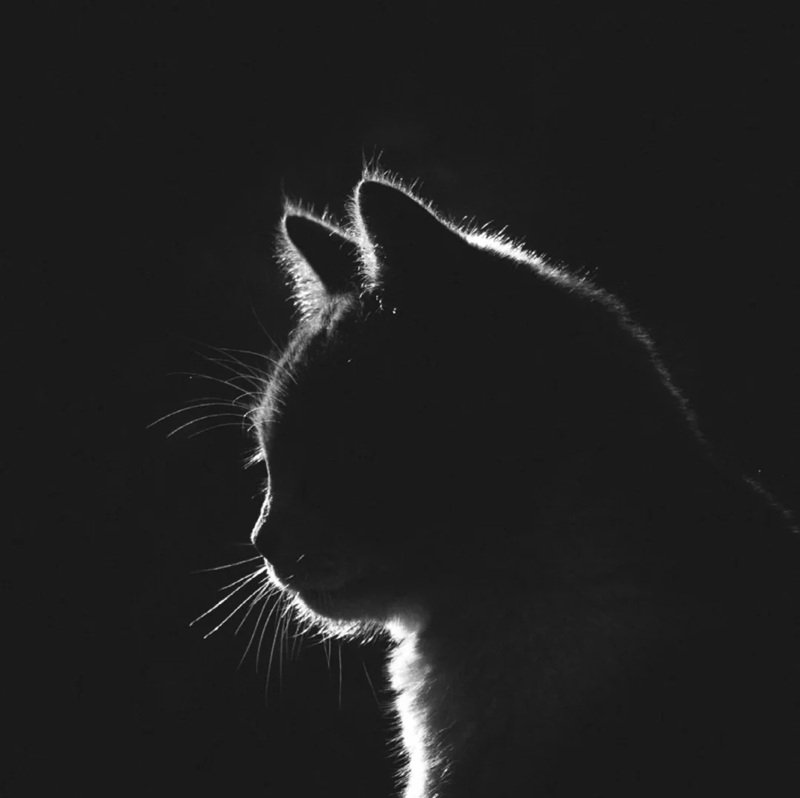 top 36 ảnh đại diện đẹp buồn 5