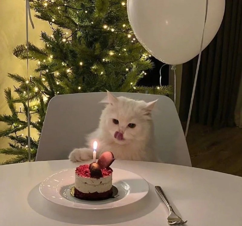 ảnh chúc mừng sinh nhật bá đạo 11