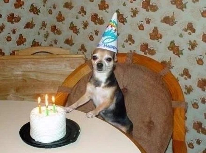 ảnh chúc mừng sinh nhật bá đạo 13