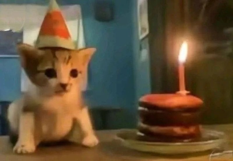 ảnh chúc mừng sinh nhật bá đạo 14