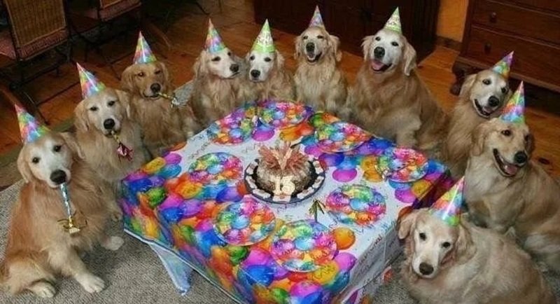 ảnh chúc mừng sinh nhật bá đạo 17