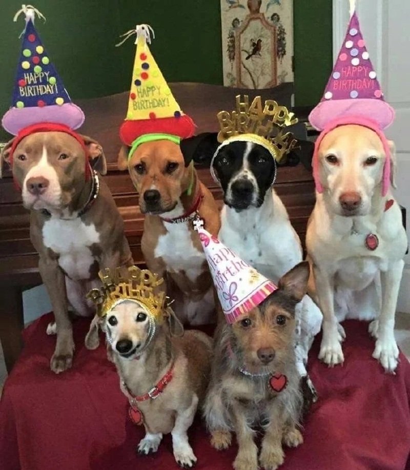 ảnh chúc mừng sinh nhật bá đạo 18