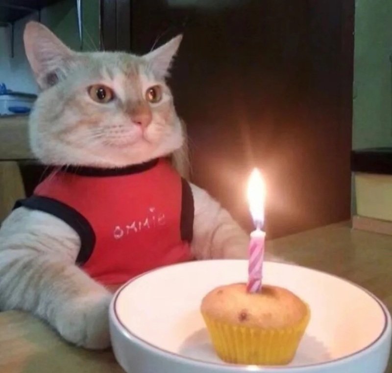 ảnh chúc mừng sinh nhật bá đạo 31