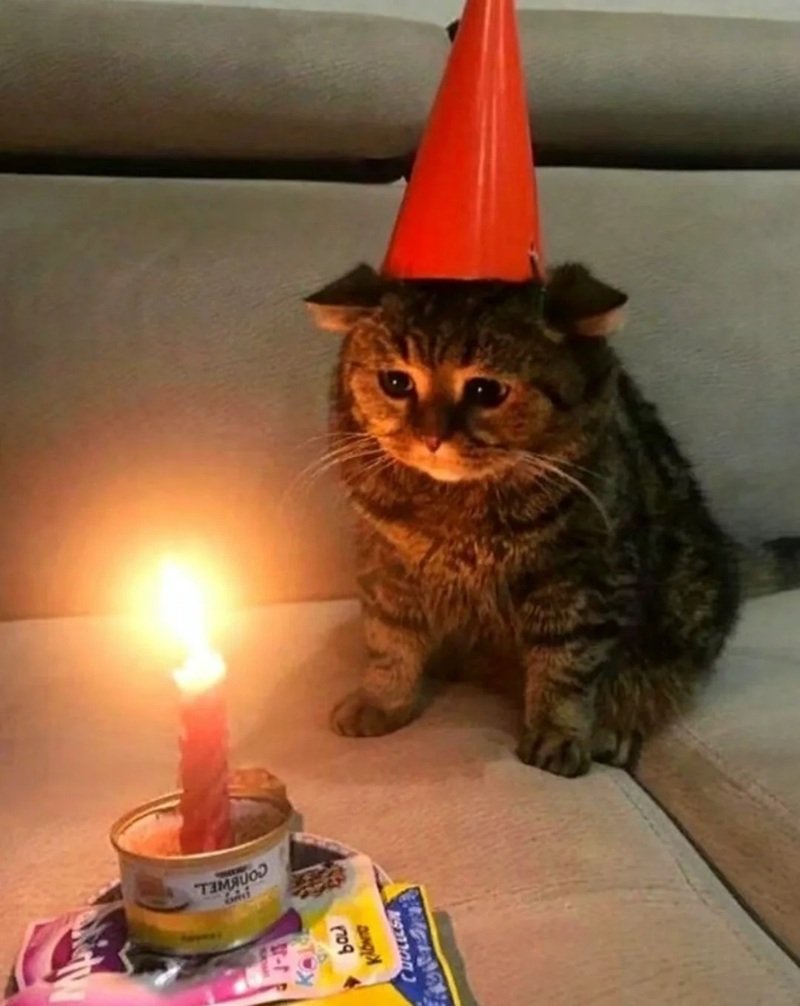 ảnh chúc mừng sinh nhật bá đạo 33