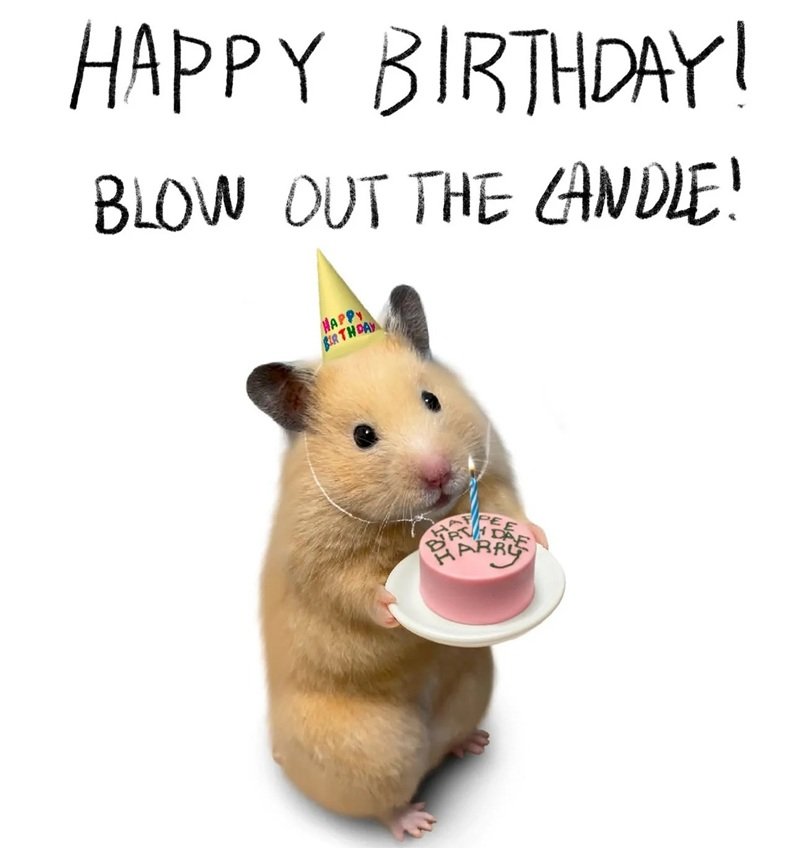 ảnh chúc mừng sinh nhật bá đạo 37