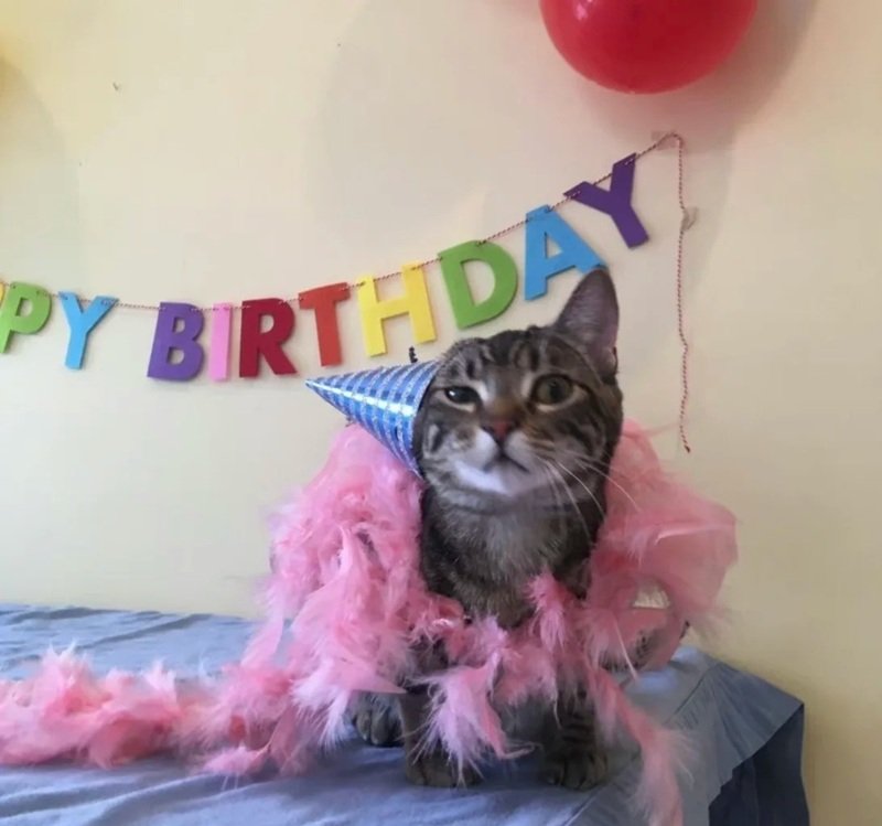 ảnh chúc mừng sinh nhật bá đạo 8