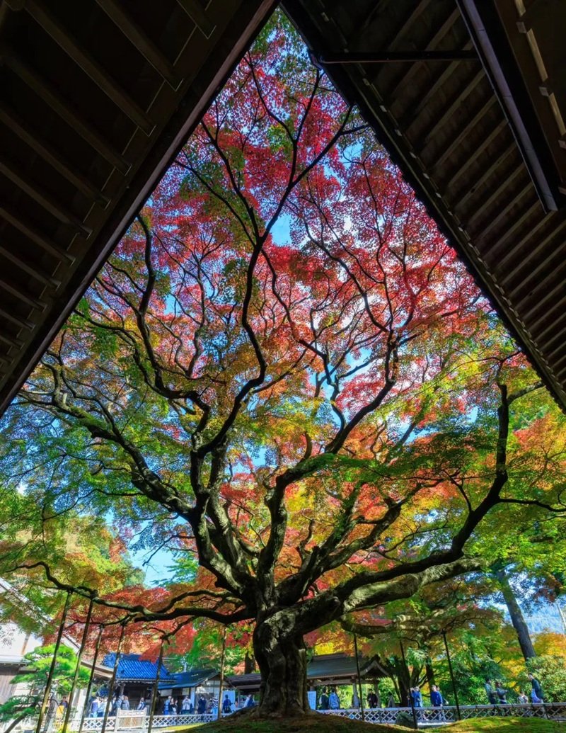 ảnh đẹp thiên nhiên 11