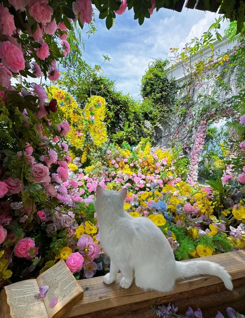 ảnh đẹp thiên nhiên 26