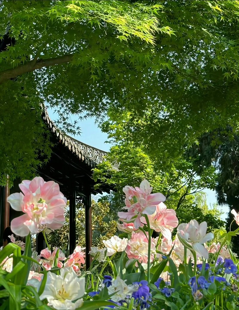 ảnh đẹp thiên nhiên 34