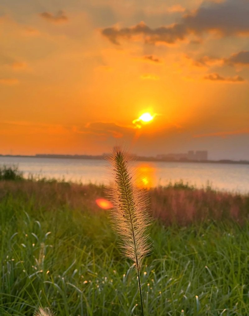 ảnh hoàng hôn đẹp 15