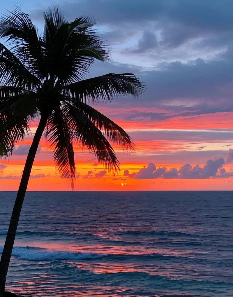 ảnh hoàng hôn đẹp 25