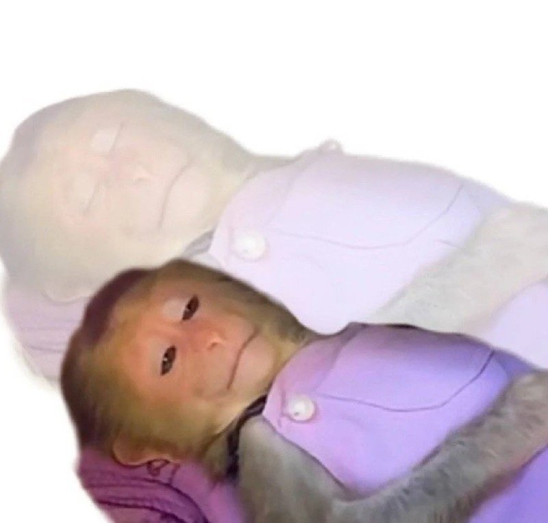 ảnh meme vô tri 21