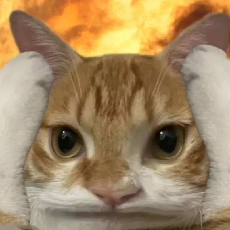 ảnh meme vô tri 23