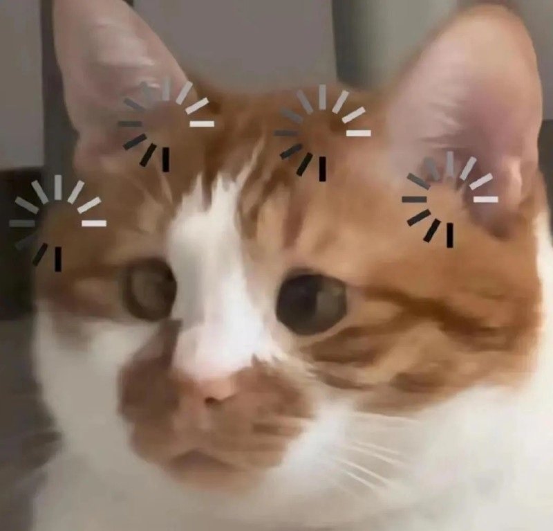 ảnh meme vô tri mèo