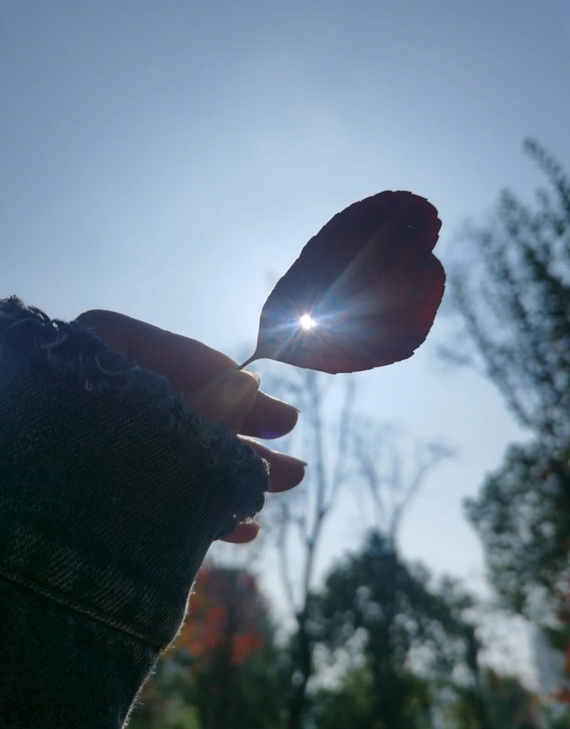 ảnh tâm trạng 17