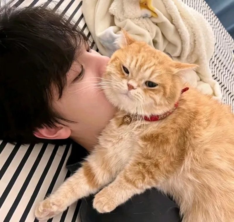 ảnh trai đẹp che mặt 37