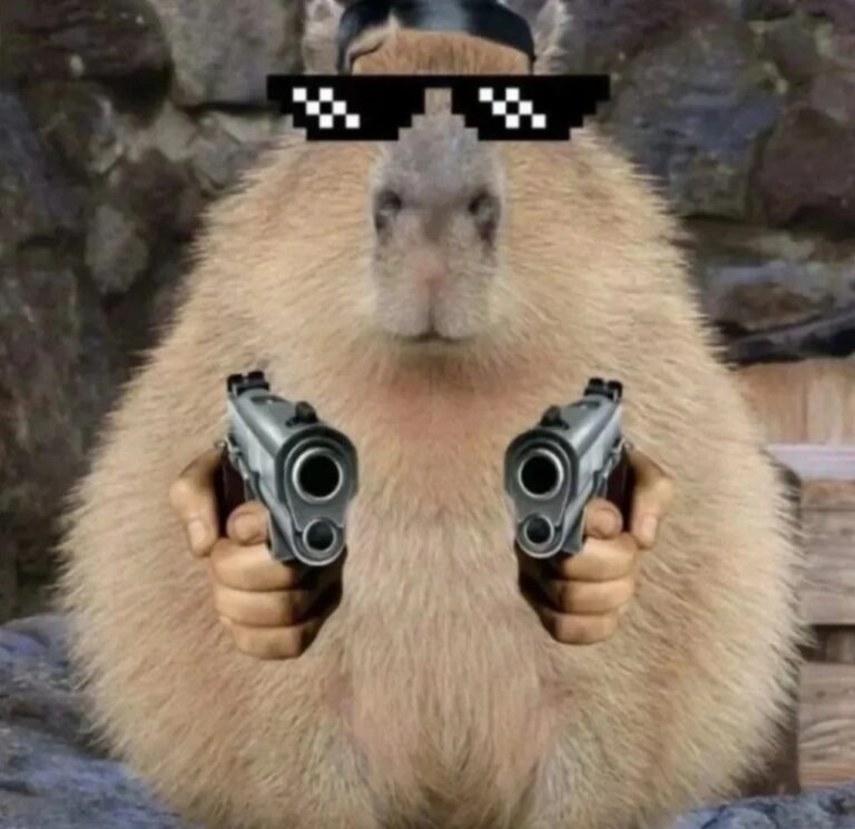 Bộ sưu tập 99+ Capybara meme chill nhất hệ mặt trời