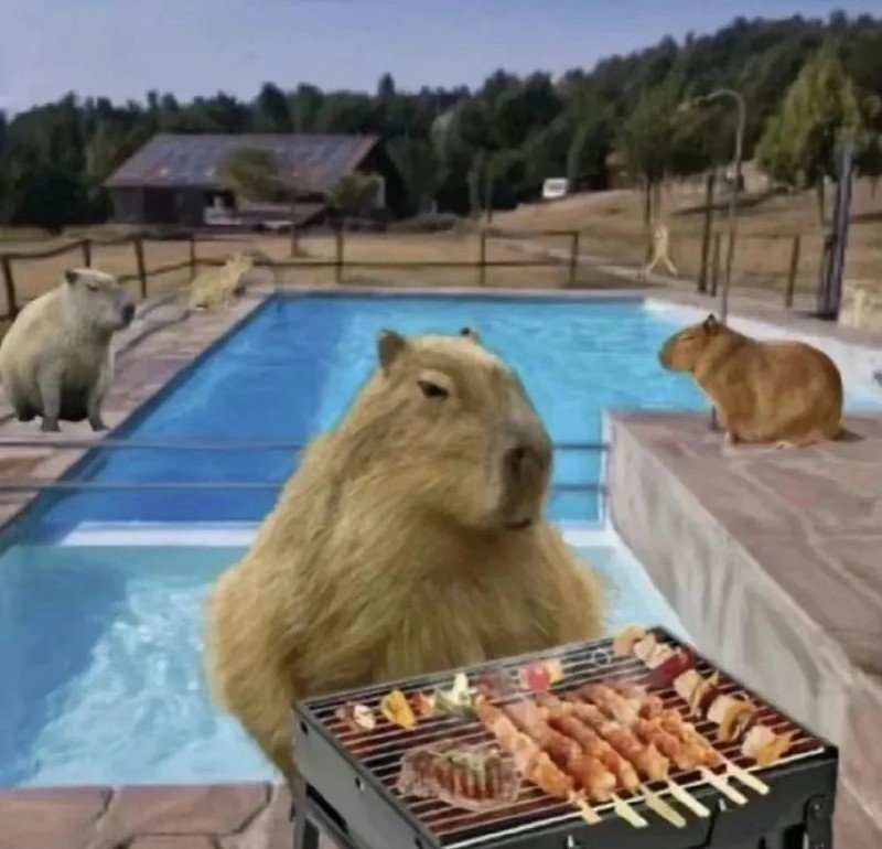 capybara meme 18