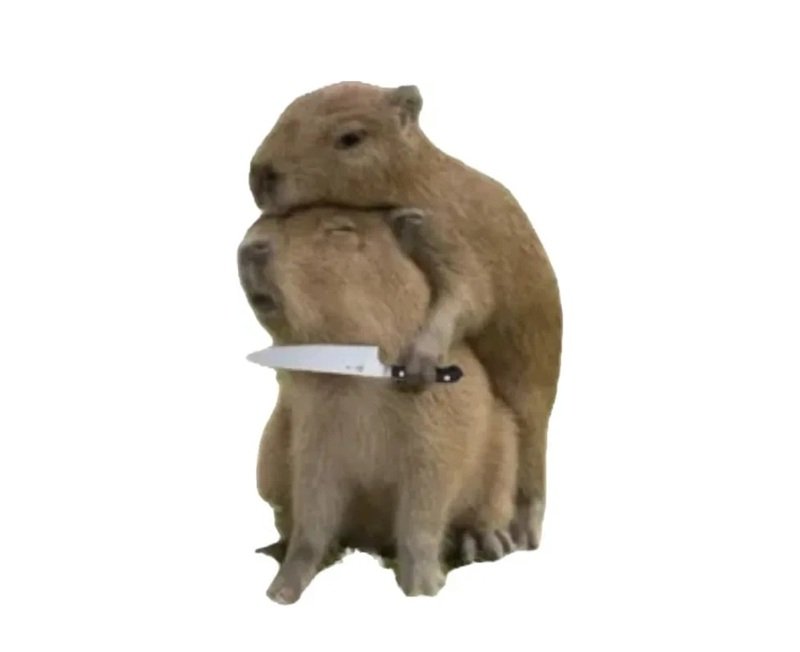 capybara meme 19