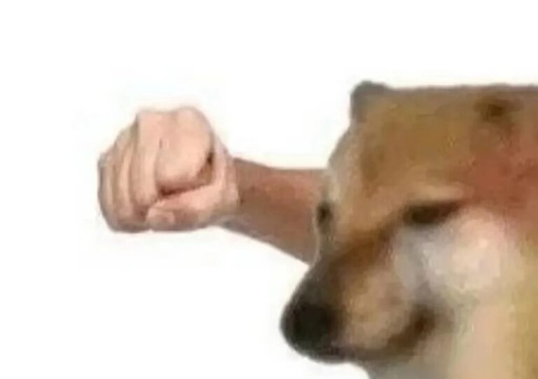 Bộ sưu tập 90+ cheems meme hài hước nhất hiện nay