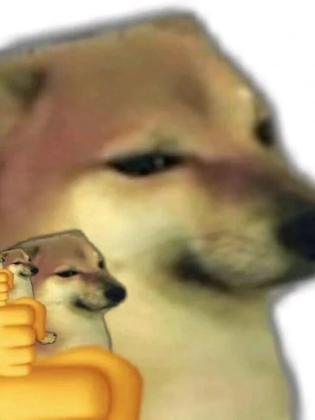 cropped-cheems-meme-13.jpg
