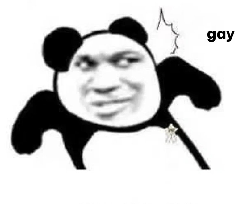 gay meme 26
