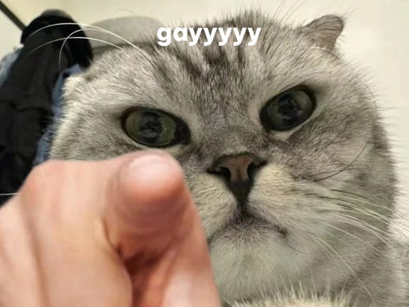 gay meme 27