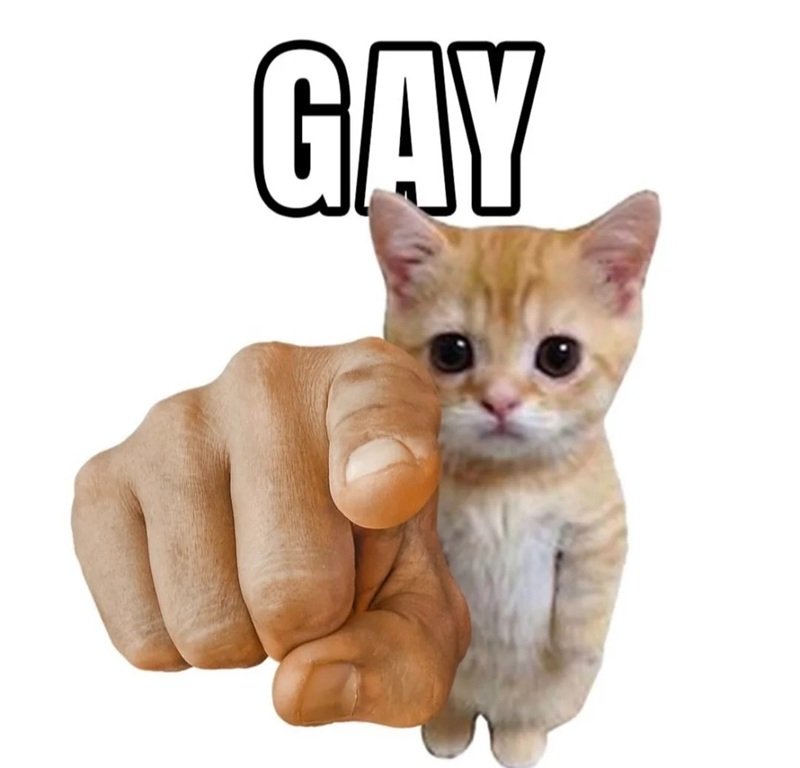 gay meme 35