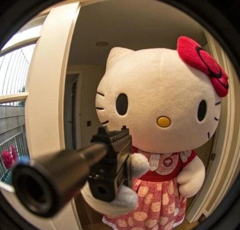 hello kitty meme 11