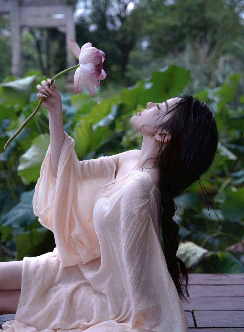 hình ảnh hoa sen 25