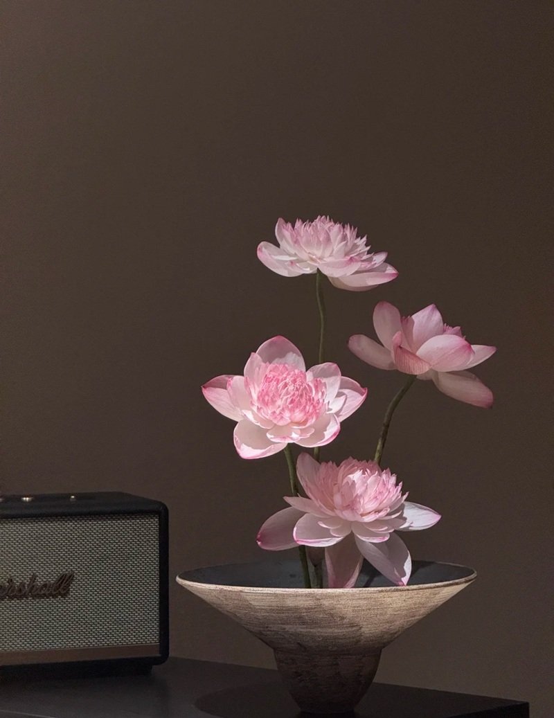 hình ảnh hoa sen 32