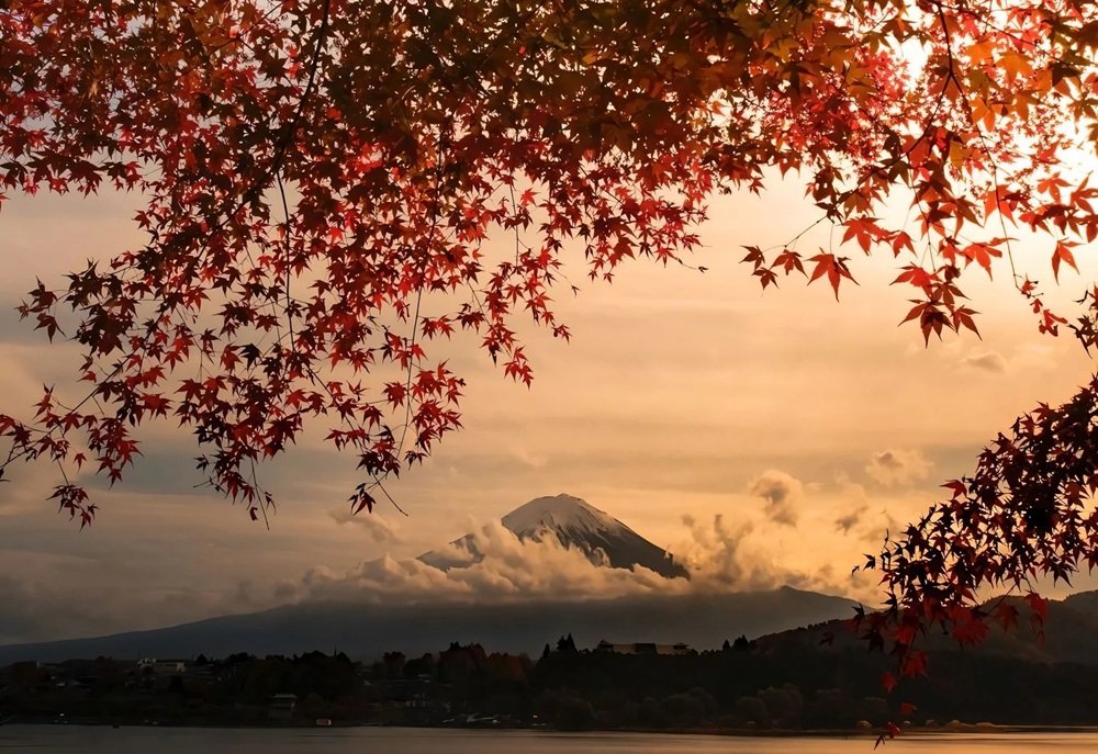 hình nền máy tính 4k 1920×1080 18