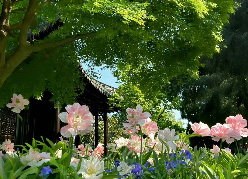 hình nền máy tính 4k 1920×1080 8