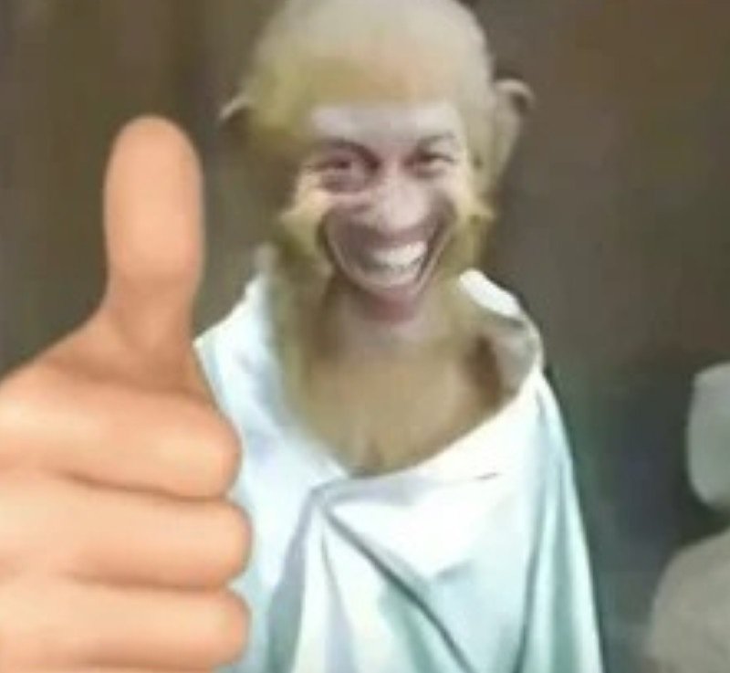 meme con khỉ 5
