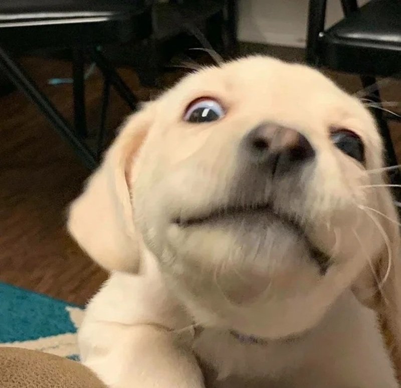 meme liếc mắt cười