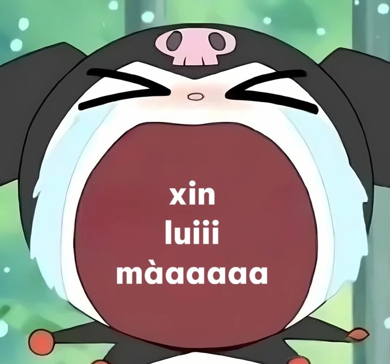 meme xin lỗi cute
