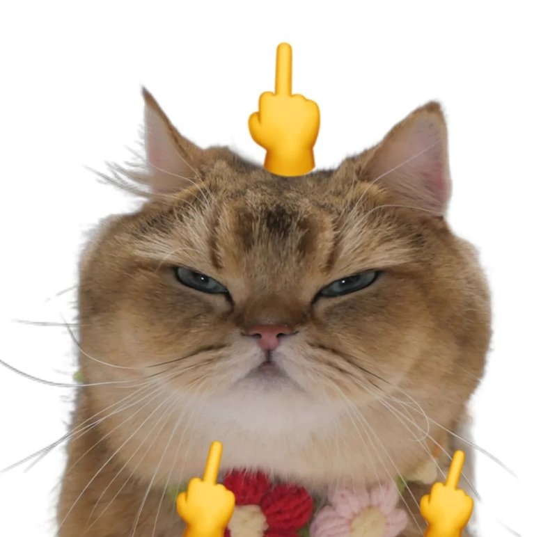 ngón giữa meme 10