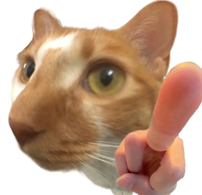 ngón giữa meme 11