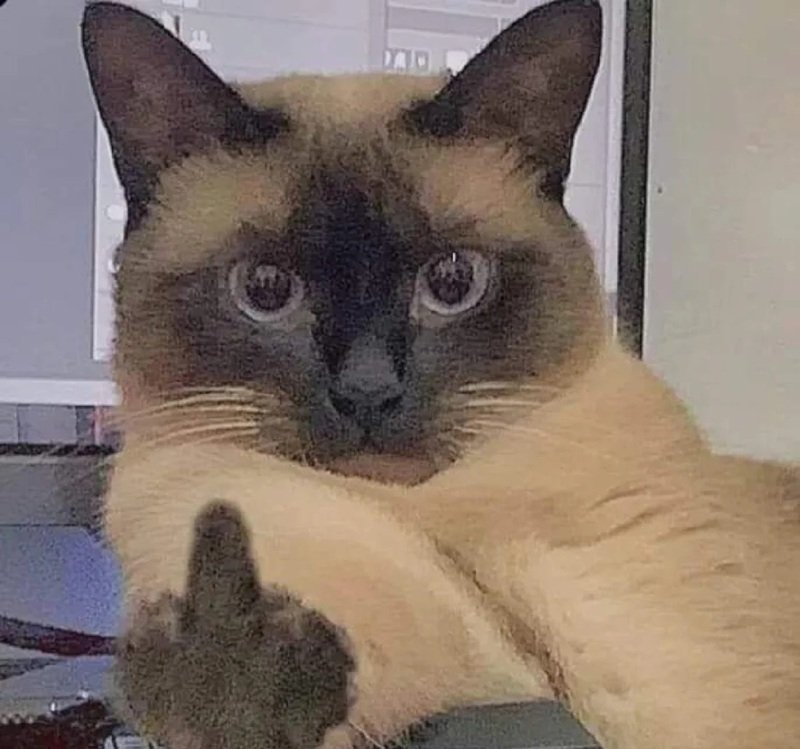 ngón giữa meme 13