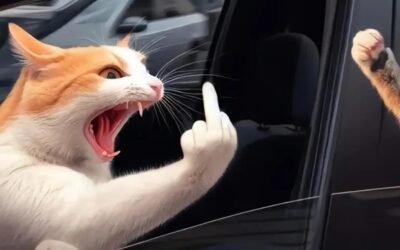 ngón giữa meme 19