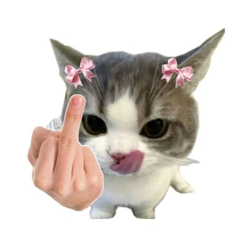 ngón giữa meme 25