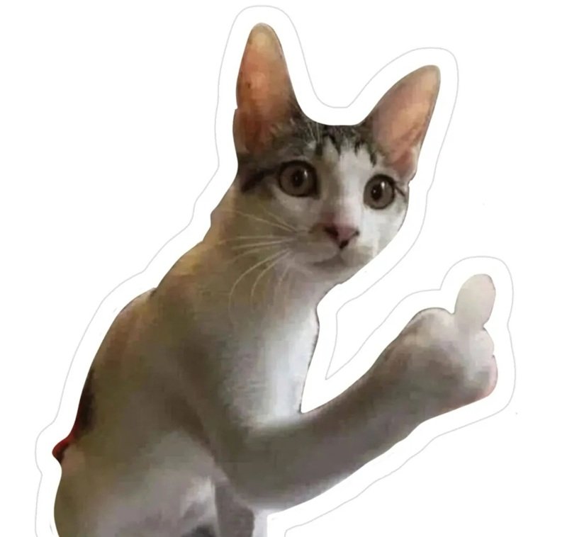 ngón giữa meme 26