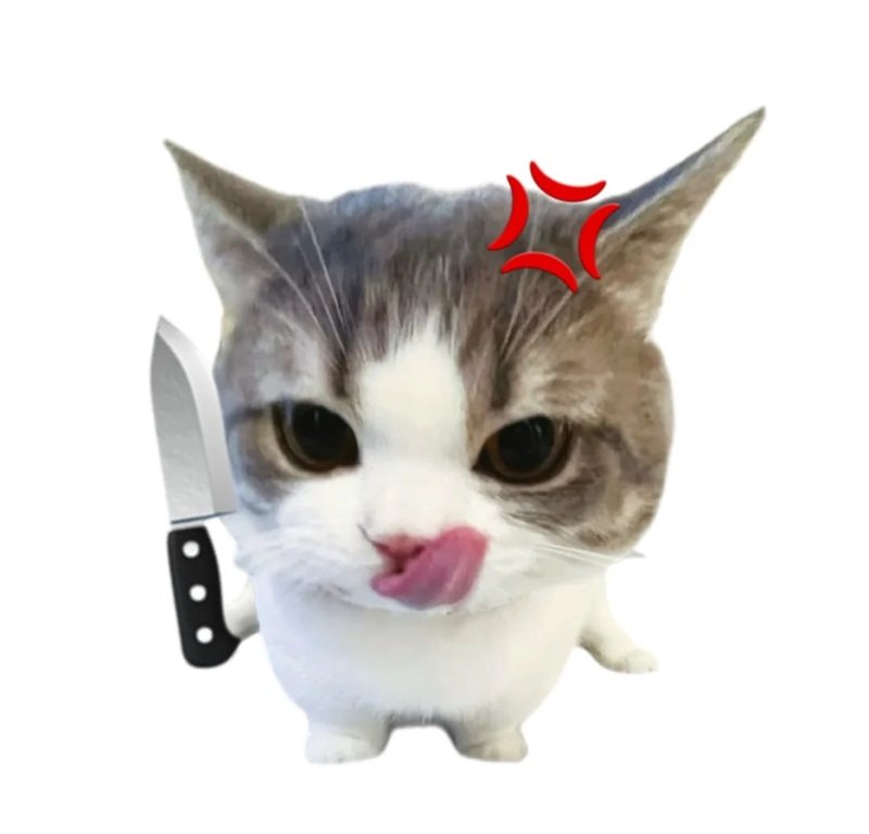 ảnh chế meme mèo bựa 11